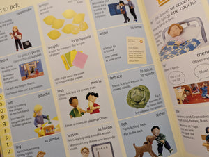 Usborne French Picture Dictionary